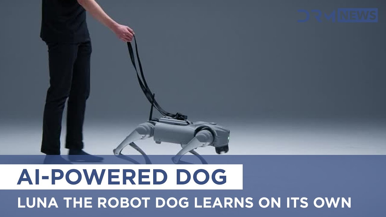 Revolutionary AI: Luna the Robot Dog Learns on Its Own | AI15 - YouTube